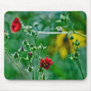 Fly-By im Garten Mousepad