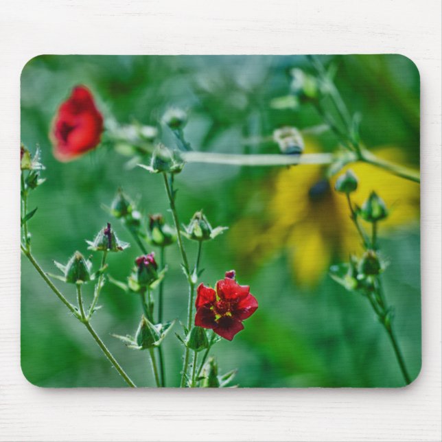 Fly-By im Garten Mousepad (Vorne)