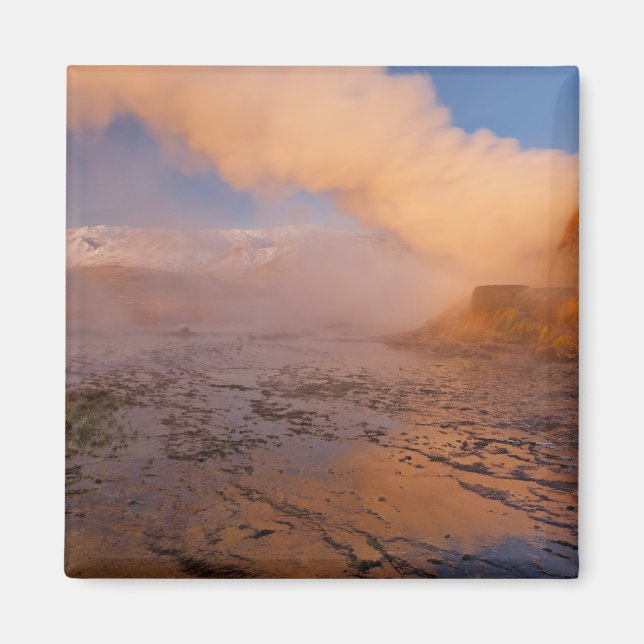 Fly Geyser in der Black Rock Wüste Magnet (Vorne)