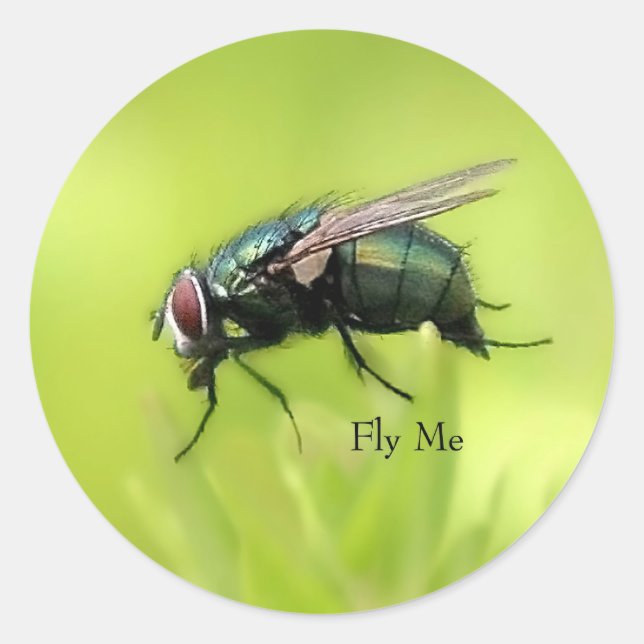 Fly Me Sticker (Vorderseite)
