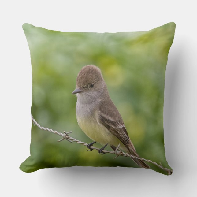 Flycatcher Kissen (Vorderseite)