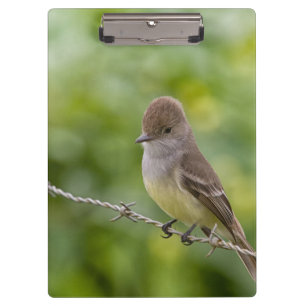 Flycatcher Klemmbrett