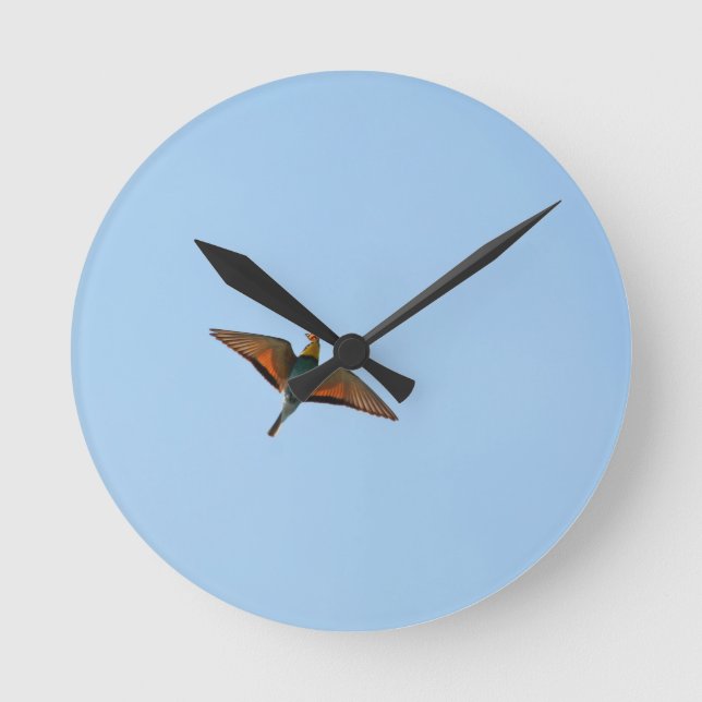 Flycatcher Runde Wanduhr (Vorderseite)