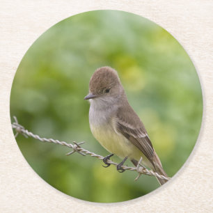 Flycatcher Runder Pappuntersetzer