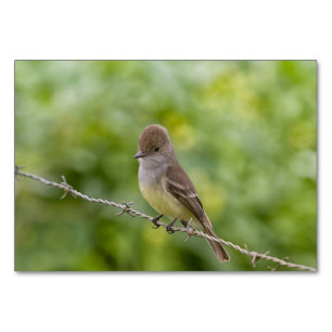 Flycatcher Tischnummer
