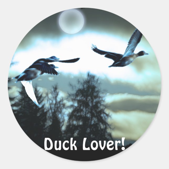FLYDUCKS & MOON-Aufkleber Runder Aufkleber (Vorderseite)