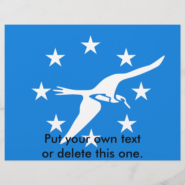 Flyer mit der Flagge von Corpus Christi, USA (Vorne)