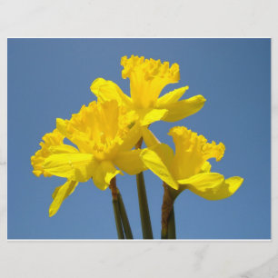 Flyer-Papier Gelbe Daffodische Blume Blue Sky Flyer