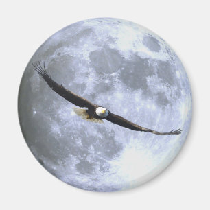 Flying BALD EAGLE & FULL MOON Wildlife Magnet