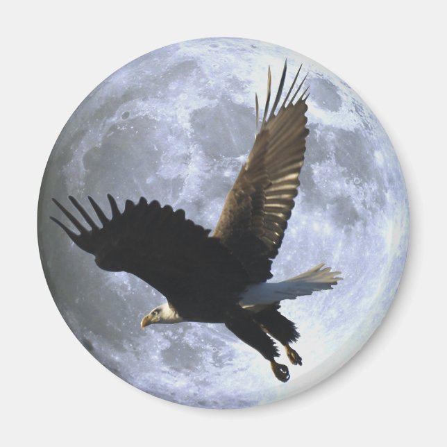 Flying BALD EAGLE & FULL MOON Wildlife Magnet (Vorne)