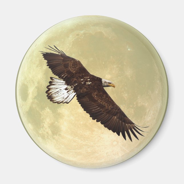 Flying BALD EAGLE & FULL MOON Wildlife Magnet (Vorne)