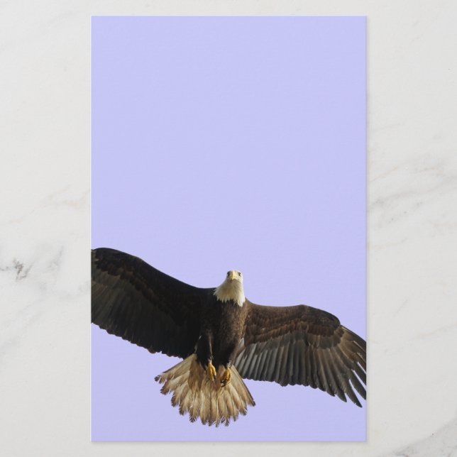 Flying Bald Eagle Wildlife Geschenk Briefpapier (Vorderseite)