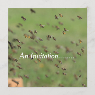 Flying Bienen - Personalisierte Party Einladung