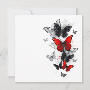 Flying Black and Red Morpho Butterfliegen Ankündigung