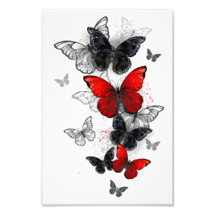 Flying Black and Red Morpho Butterfliegen Fotodruck