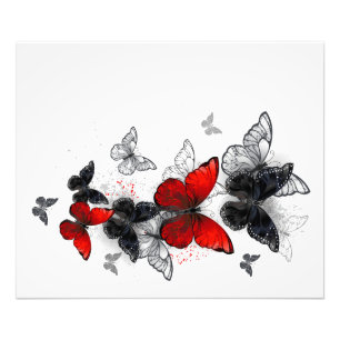 Flying Black and Red Morpho Butterfliegen Fotodruck