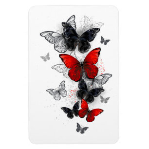 Flying Black and Red Morpho Butterfliegen Magnet