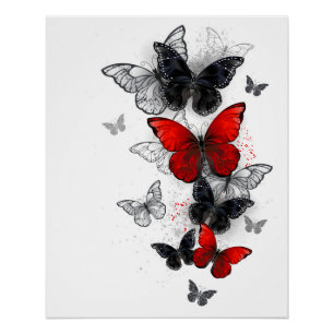 Flying Black and Red Morpho Butterfliegen Poster