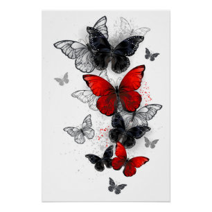 Flying Black and Red Morpho Butterfliegen Poster