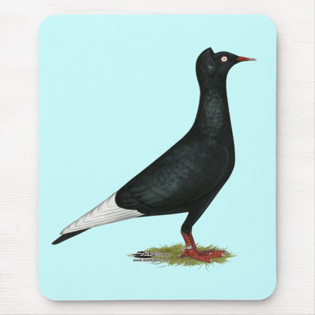 Flying Black Cap-Taube Mousepad (Vorne)