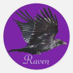 Flying Black Raven Corvid Crow-Lover Foto Design Runder Aufkleber