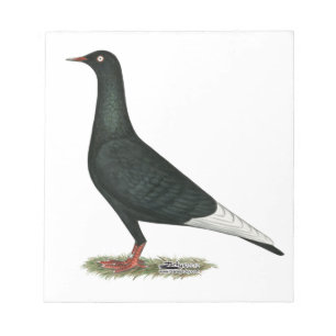 Flying Black Taube Notizblock