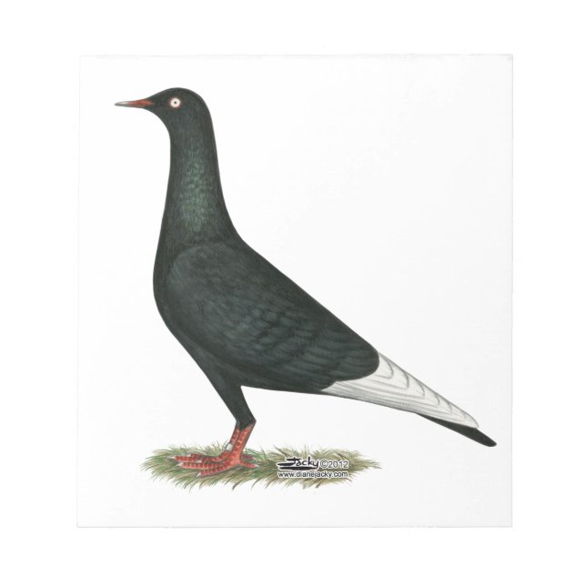 Flying Black Taube Notizblock (Vorderseite)