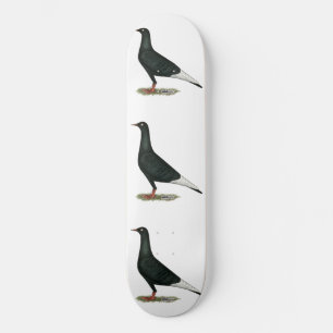 Flying Black Taube Skateboard