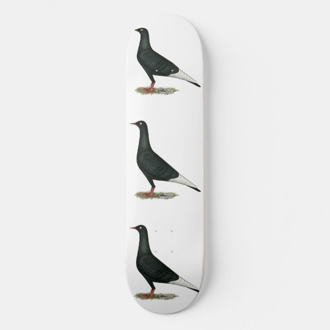 Flying Black Taube Skateboard (Vorderseite)
