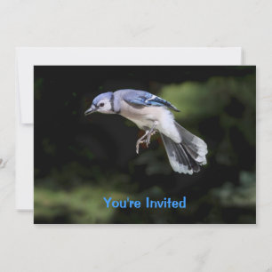 Flying Blue-Jay Einladung