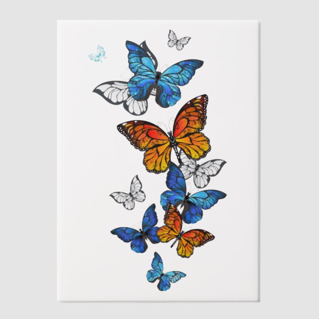 Flying Butterflies Morpho und Monarch (Vorderseite)