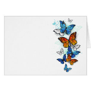Flying Butterflies Morpho und Monarch