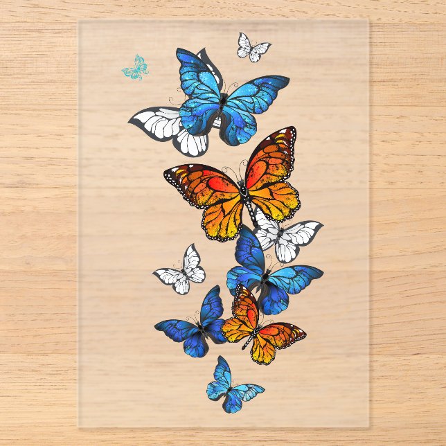 Flying Butterflies Morpho und Monarch Acryleinladungen (Vorderseite)
