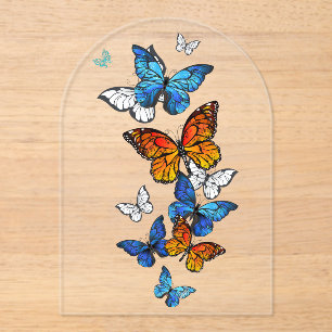 Flying Butterflies Morpho und Monarch Acryleinladungen