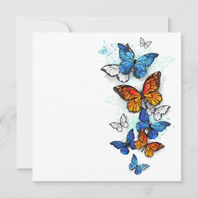 Flying Butterflies Morpho und Monarch Ankündigung (Vorderseite)