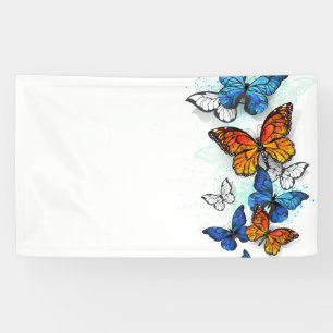 Flying Butterflies Morpho und Monarch Banner