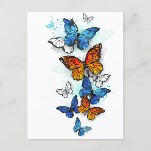Flying Butterflies Morpho und Monarch Einladungspostkarte