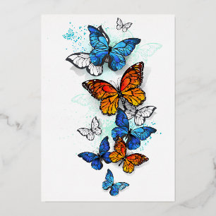 Flying Butterflies Morpho und Monarch Folien Feiertagskarte
