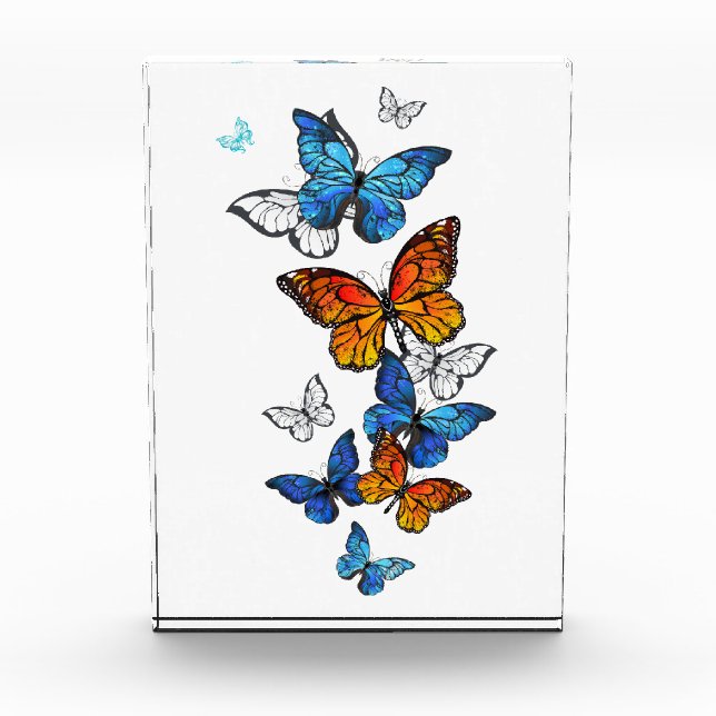 Flying Butterflies Morpho und Monarch Fotoblock (Vorderseite)