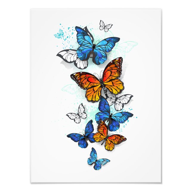 Flying Butterflies Morpho und Monarch Fotodruck (Vorne)