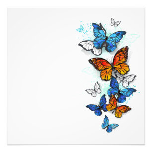 Flying Butterflies Morpho und Monarch Fotodruck
