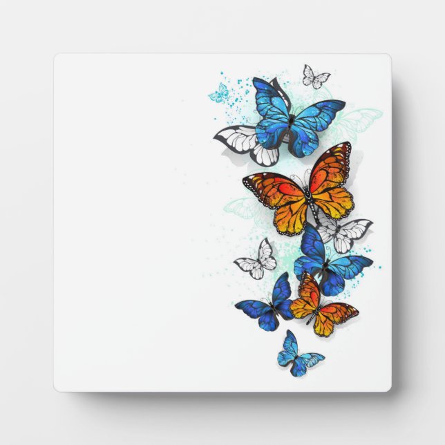 Flying Butterflies Morpho und Monarch Fotoplatte (Vorderseite)