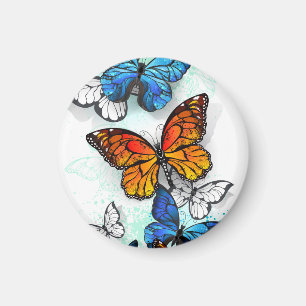 Flying Butterflies Morpho und Monarch Magnet
