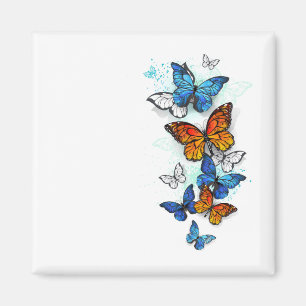 Flying Butterflies Morpho und Monarch Magnet