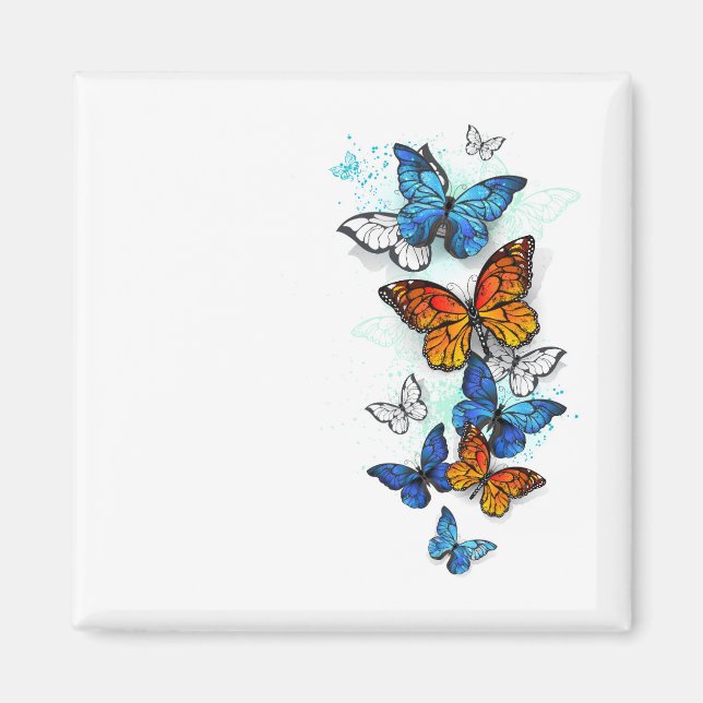 Flying Butterflies Morpho und Monarch Magnet (Vorne)