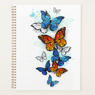 Flying Butterflies Morpho und Monarch Planer