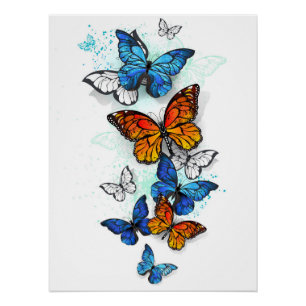 Flying Butterflies Morpho und Monarch Poster