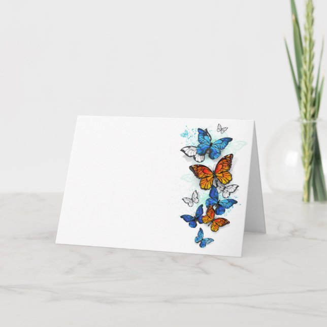 Flying Butterflies Morpho und Monarch Programm (Vorderseite)