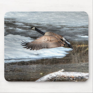 Flying Canada Gans, Pond & Snow Wildlife Foto Mousepad