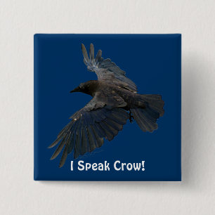FLYING CROW I Speak Crow! Wildlife Bird Art Button